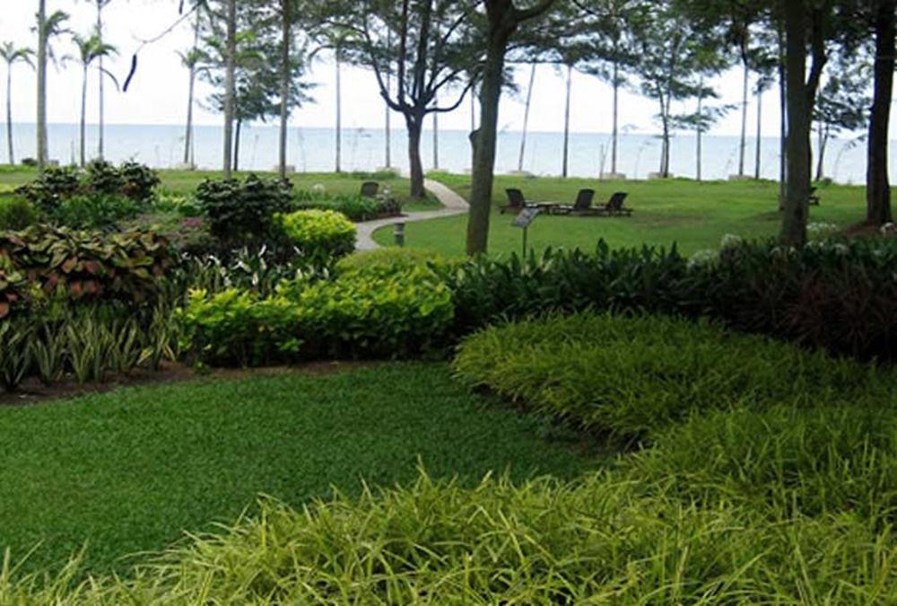 Miri Marriott Resort & Spa Εξωτερικό φωτογραφία View of the lake from the hotel