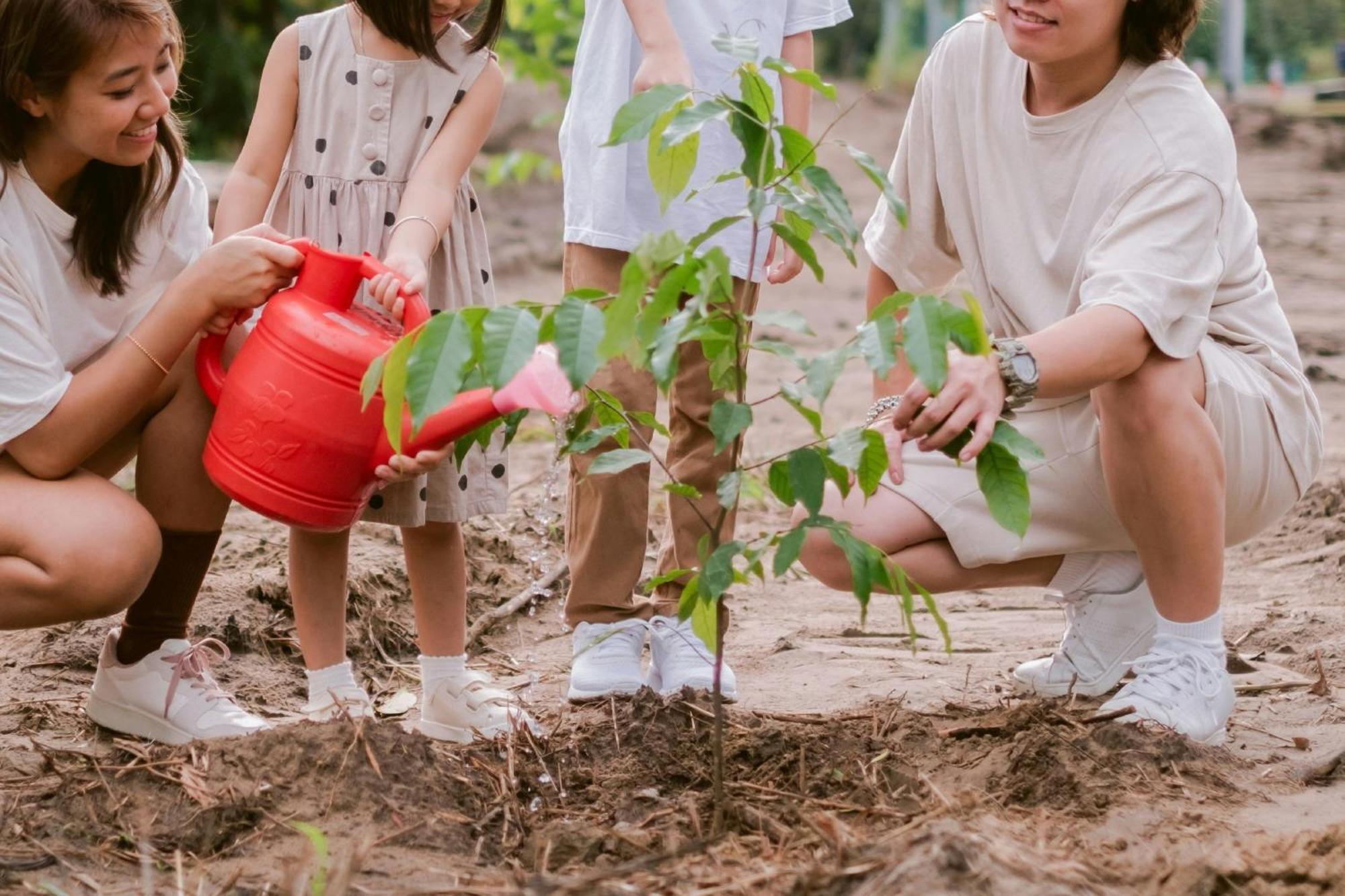 Miri Marriott Resort & Spa Εξωτερικό φωτογραφία Children planting trees